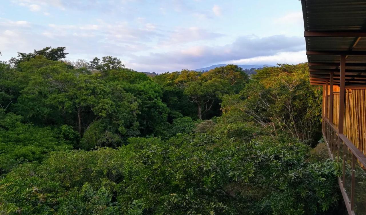 Hotel Pibi Boreal Alajuela Luaran gambar