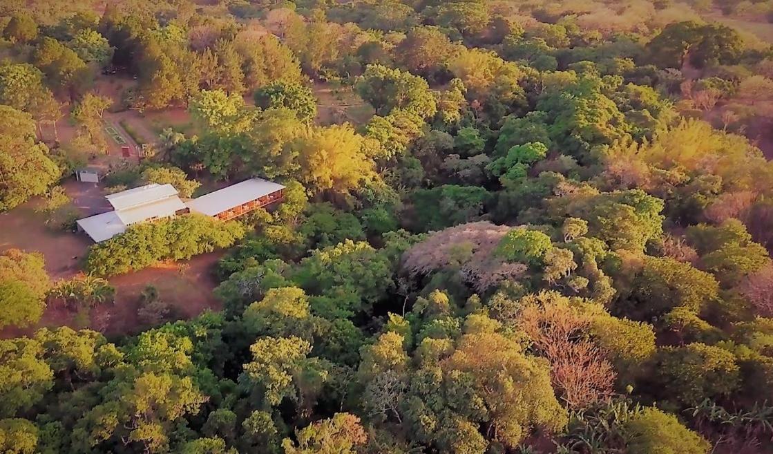 Hotel Pibi Boreal Alajuela Luaran gambar