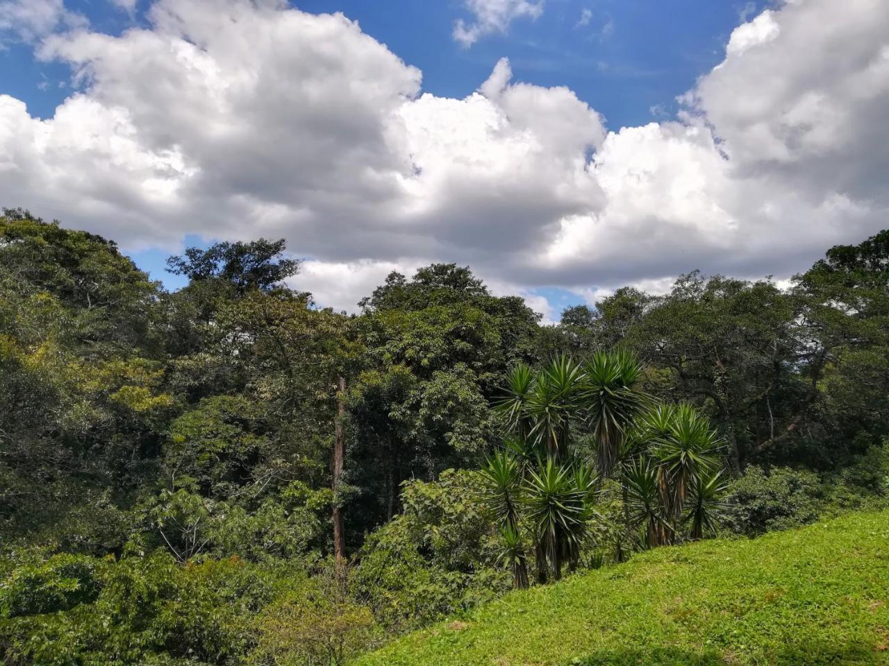 Hotel Pibi Boreal Alajuela Luaran gambar